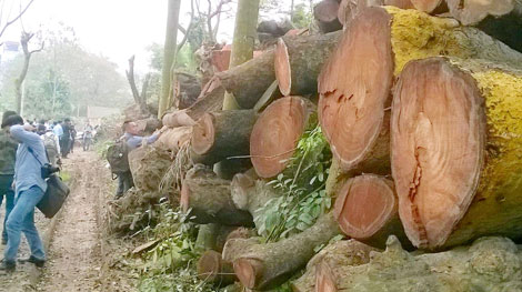 Trong quản lý đô thị, điều quan trọng là tầm nhìn, sự đồng thuận và minh bạch