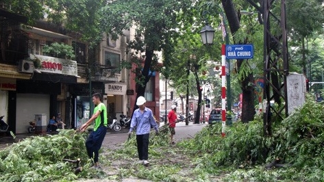 Hà Nội tiếp tục cắt tỉa cây trước mùa mưa bão