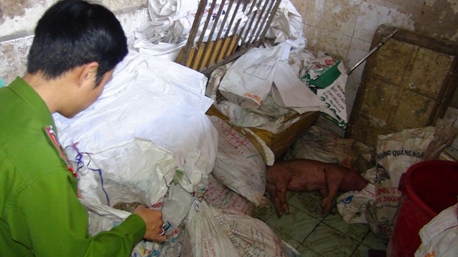Quảng Ngãi: Phát hiện 2 cơ sở mổ heo chết bán ra thị trường