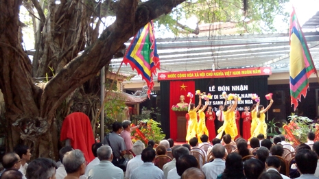 Thêm một cây cổ thụ được công nhận 'Cây di sản Việt Nam'