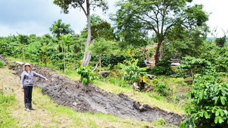 Mặt đất lại nứt toác tại thị trấn Di Linh