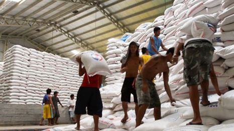 Xuất khẩu gạo: Cần tổ chức lại sản xuất để tính chuyện đường dài