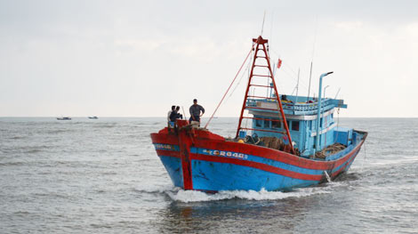 Ngư dân Quảng Ngãi vẫn thẳng tiến khơi xa