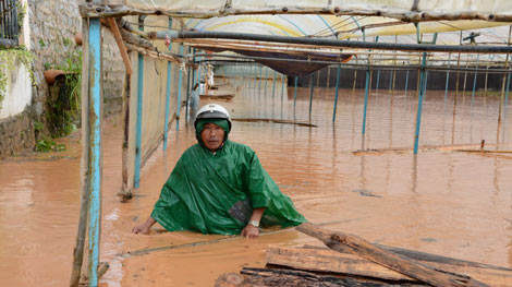 Mưa lũ liên tiếp ở Đà Lạt: Cứ mưa là có lũ quét?