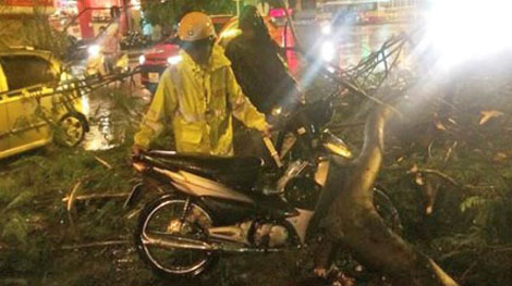 Cảnh sát giao thông giúp dân thoát khỏi vụ tai nạn do cành cây gãy