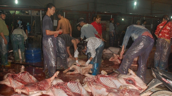 Giết mổ heo dịch bán ra thị trường