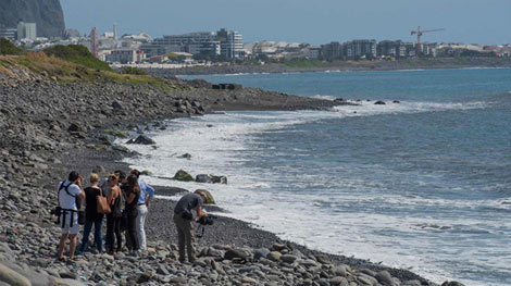 Hoàn toàn có cơ hội tìm thấy MH370