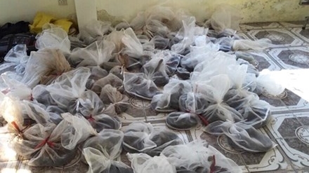 Vận chuyển 89 con rắn hổ mang chúa