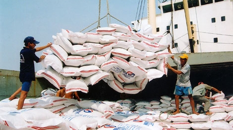 Gạo dự báo sẽ còn tiếp tục xu hướng giảm giá