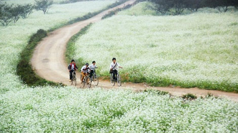 Đôi vợ chồng nghèo vượt khó ‘nuôi chữ’ cho 5 người con