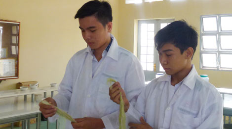 Thầy giáo được vinh danh điển hình tiên tiến bảo vệ môi trường