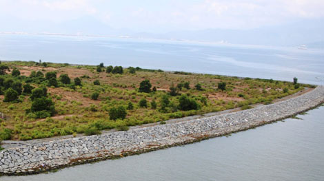 Khuyến nghị Đà Nẵng không triển khai dự án khu biểu diễn cá heo và thú biển