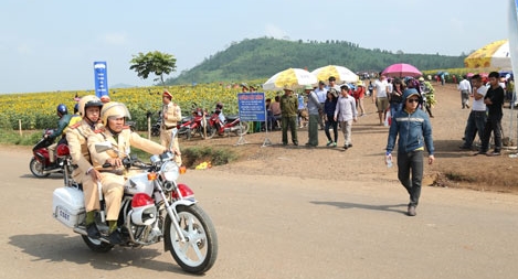 Đảm bảo ANTT cho du khách đến tham quan cánh đồng hoa hướng dương