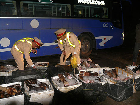 Phát hiện 700kg chân trâu bò đã bốc mùi hôi thối trên xe khách