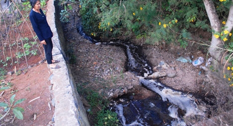 Chế biến cà phê gây ô nhiễm bị phạt hơn 400 triệu đồng