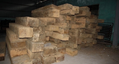 Phát hiện hàng trăm m³ gỗ quý tại kho hàng một công ty