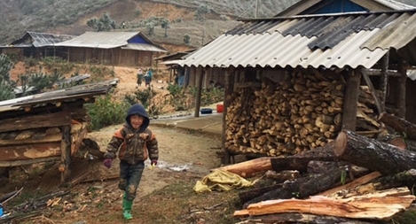 Hướng dẫn người dân giữ ấm vật nuôi, cây trồng