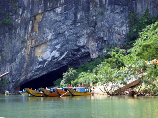 Xác định được 14 loài sinh vật ngoại lai có nguy cơ xâm hại