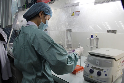 Bệnh teo não đang tiếp tục lây lan nhanh