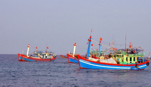 Hàng trăm tàu ngư dân Quảng Ngãi ra khơi “hái lộc” đầu năm