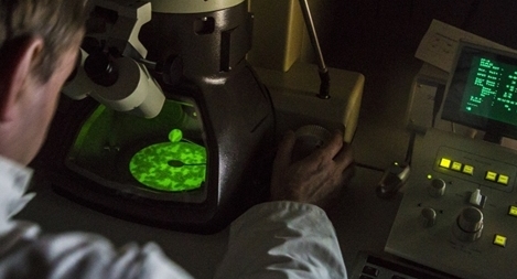 Nga tổng hợp hoạt chất mới có khả năng điều trị ung thư