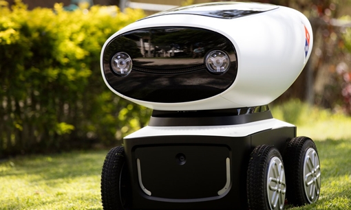 Robot giao bánh pizza đầu tiên trên thế giới