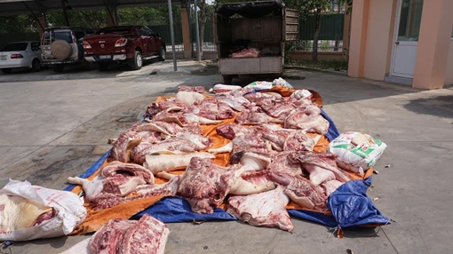 Một tấn heo thối “tuồn” vào chợ