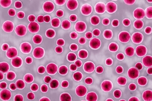 Anh lo lắng về dịch siêu hoa liễu kháng thuốc không thể chữa