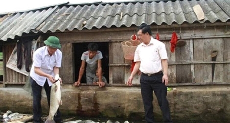 Nhà máy đường Hòa Bình đền bù hơn 1,4 tỷ đồng cho bà con nuôi cá trên sông Bưởi