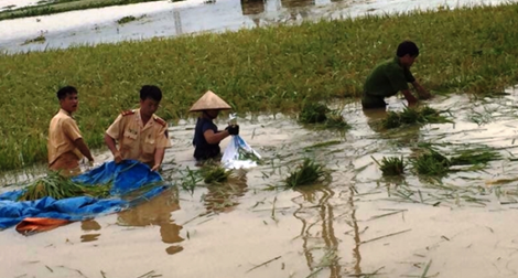 Ninh Bình khẩn trương khắc phục hậu quả mưa lũ