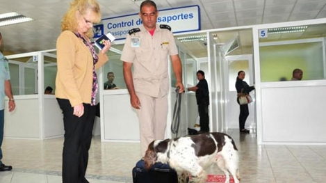 Mỹ - Cuba: Hợp tác bí mật chống tội phạm ma túy