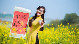 Chương trình 'Xuân quê hương' tại Hà Nội