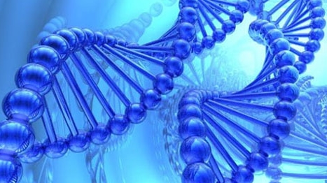 Vũ khí gien di truyền, công cụ giết người hàng loạt mới