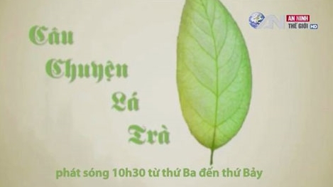 8h15 phút tối - Chương trình tivi độc đáo 