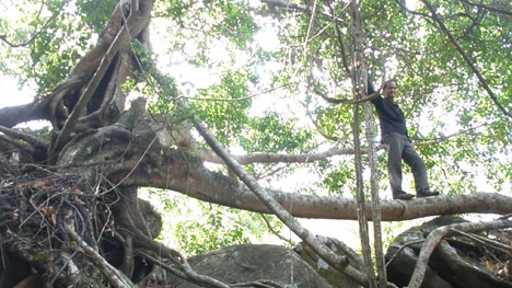 Kỳ bí Ma Thiên Lãnh