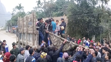 Làm rõ nguyên nhân vụ sập hầm khai thác đá, 3 người tử vong