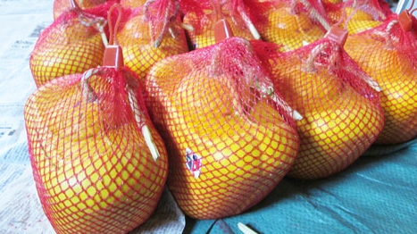 Dưa hấu thỏi vàng khan hiếm ngày Tết