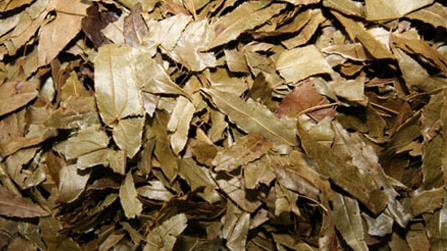 Bi hài… dâm dương hoắc