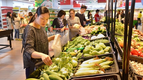 Vingroup chính thức đầu tư vào nông nghiệp