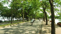 Sức nặng của lời khuyên