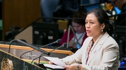 Việt Nam cam kết thúc đẩy khu vực phi vũ khí hạt nhân