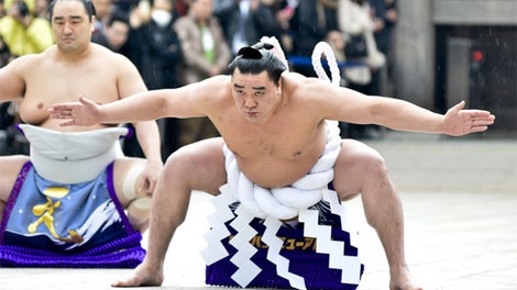 Cuộc “hành xác” suốt đời của giới võ sĩ sumo