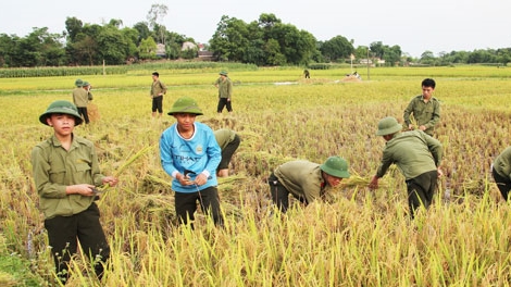 200 đoàn viên Công an xuống đồng gặt lúa giúp dân