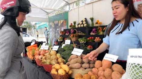 70 gian hàng tại phiên chợ rau hoa ở Đà Lạt