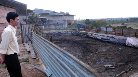 Trẻ em phải “tản cư” vì ô nhiễm từ nhà máy cà phê