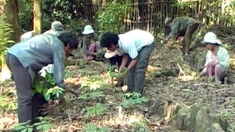 Đi tìm nghịch lý vùng đất có “báu vật” của Giàng