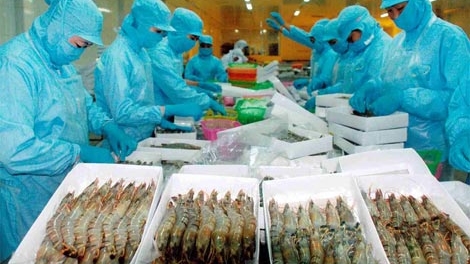 Để sản phẩm thủy sản “sạch” tiếp cận thị trường nước ngoài