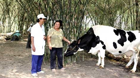 Vinamilk thu mua sữa tươi nguyên liệu của nông dân tăng gần 22%