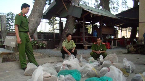 Nuôi 14 con trăn trong nhà