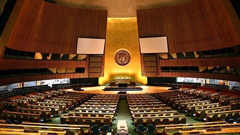 Việt Nam luôn tôn trọng mục đích và nguyên tắc của Hiến chương LHQ